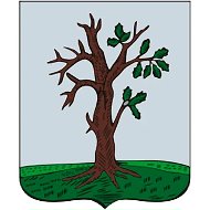 Стародубский муниципальный округ