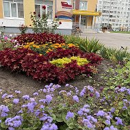 68-МАХ ГБОУ "Набережночелнинская школа №68"