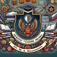 МБОУ «СОШ №46 им. М.А. Молчанова»