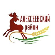 Алексеевский муниципальный район РТ