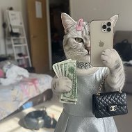 СкидГэнг — скидки, промокоды, акции, халява
