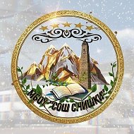 Официальный канал МБОУ "СОШ с.Чишки"