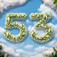 МБОУ С(К)Ш № 53, г. Новосибирск