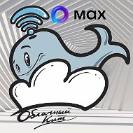 "Облачный Кит" ДОУ № 2 г. Липецка