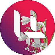 Информационный канал ЦЦТ УР
