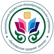 МБОУ «Белоярская СШ», канал