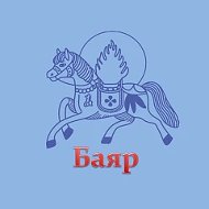 МАОУ ДО "ЦНК "Баяр"