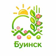 Совет Буинского муниципального района