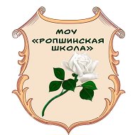 МОУ «Ропшинская школа»