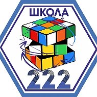 МАОУ СОШ № 222