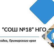 МАОУ "СОШ №18" НГО