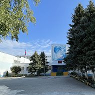 МОУ гимназия № 6 Волгоград. Официальный канал.