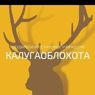 Калугаоблохота канал