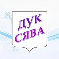 ООО "ДУК Сява"