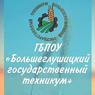 ГБПОУ "Большеглушицкий государственный техникум"