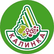 МБДОУ "Детский сад № 40 "Калинка"