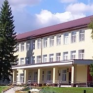 МБОУ "Усть-Пристанская СОШ им. А.М. Птухина"