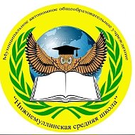 МАОУ "Нижнемуллинская средняя школа"