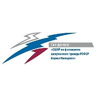 ГАУ ДО НСО "СШОР по фехтованию заслуженного тренера РСФСР Бориса Писецкого"