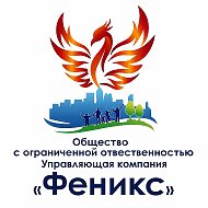 УК Феникс