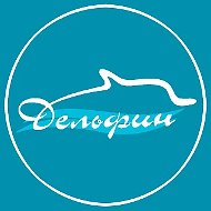 МАУ "ДС "Дельфин"