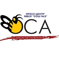 МБОУ «СОШ 3» г. Троицк Челябинской области