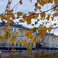 МБОУ Заброденская СОШ им. А.А. Царегородского