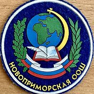 МБОУ НОВОПРИМОРСКАЯ ООШ