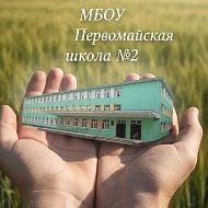 МБОУ Первомайская школа №2