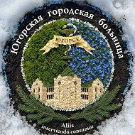 Югорская городская больница