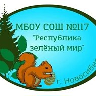 МБОУ СОШ №117
