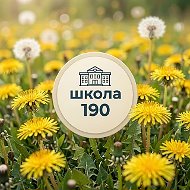 МБОУ СОШ № 190 им. В. Н. Потылицына