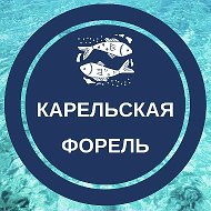 Карельская Форель