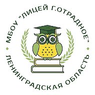 Лицей г. Отрадное