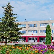 Гимназия села Боринское | Липецкий округ