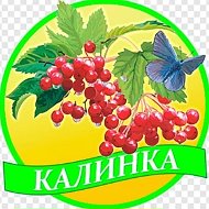 МДБОУ "Д/с 63 "Калинка"