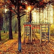 МОУ "Санаторно-лесная школа им. В.И.Шарова"