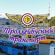 ГУП Республики Марий Эл "Троллейбусный транспорт"