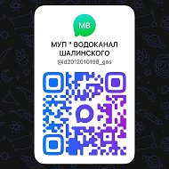 МУП " ВОДОКАНАЛ ШАЛИНСКОГО МУНИЦИПАЛЬНОГО РАЙОНА "