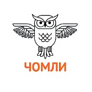 ГБОУ "ЧОМЛИ"