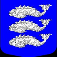 МА МО Васильевский