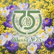 МБОУ СОШ № 75 #MAXсимально познавательно