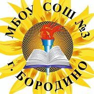 МБОУ СОШ №3 г. Бородино