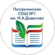 МБОУ "Пестречинская средняя общеобразовательная школа №1 с углублённым изучением отдельных предметов имени Героя России Ивана Алексеевича Додосова"