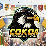 МАУ ДО СШ "Сокол"