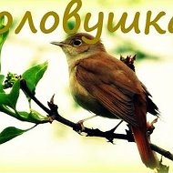 МБДОУ "ЦРР - д/с №57 "Соловушка" г. Альметьевска"