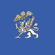 Муниципальный округ Правобережный