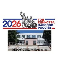 МБОУ СОШ с.Нечаевка