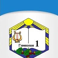 ГБОУ гимназия № 1 г. Новокуйбышевска (+"Ладушки")