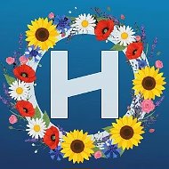 Канал Новосибирского Института Современного Образования